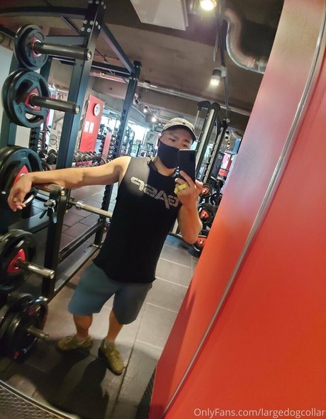 largedogcollar model archive