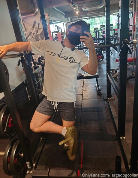 largedogcollar art pornstar gallery