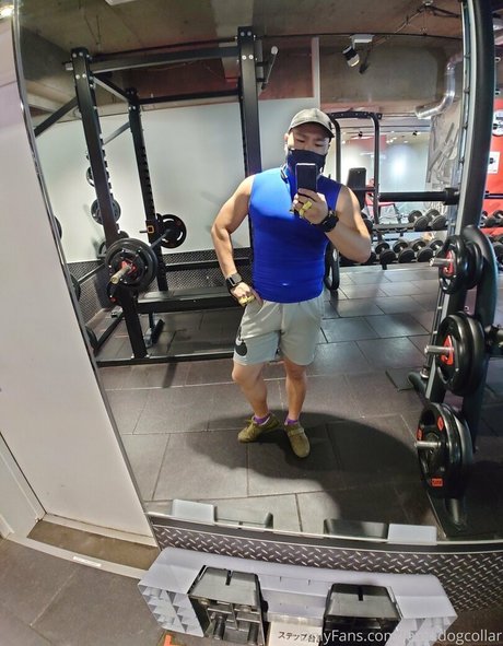 largedogcollar hot star photo