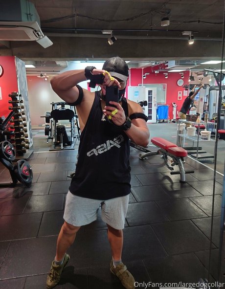 largedogcollar pornstar pretty pic