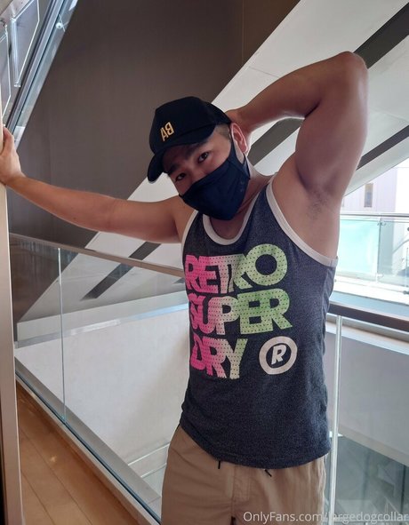 largedogcollar top pornstar pictures