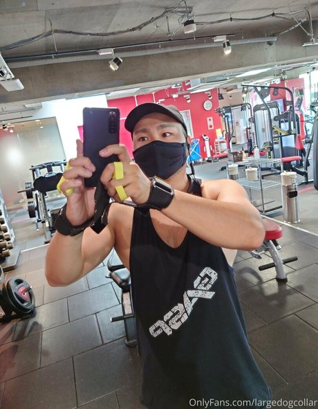 largedogcollar best pornstar img