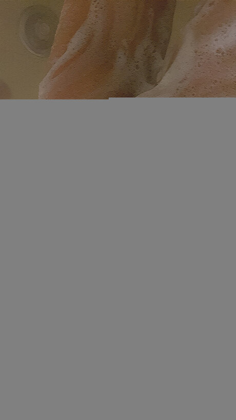 Veyavilla star high quality pic