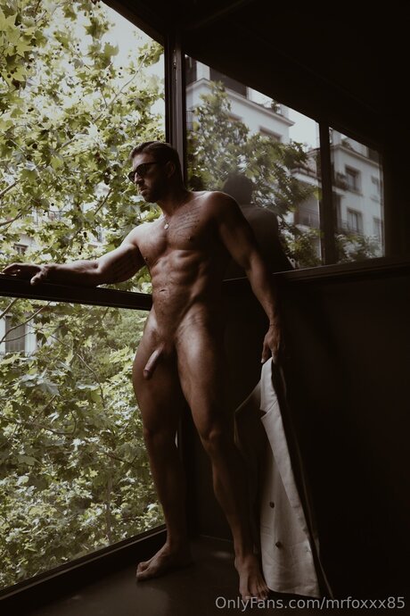 Mrfoxxx85 pretty star gallery