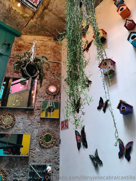 Libnyjesecabralcastillo nude model image