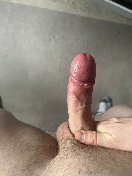 cowgirl creampie onlyfans pornographic photos