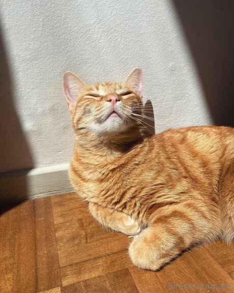 teen natural tits onlyfans naked archive