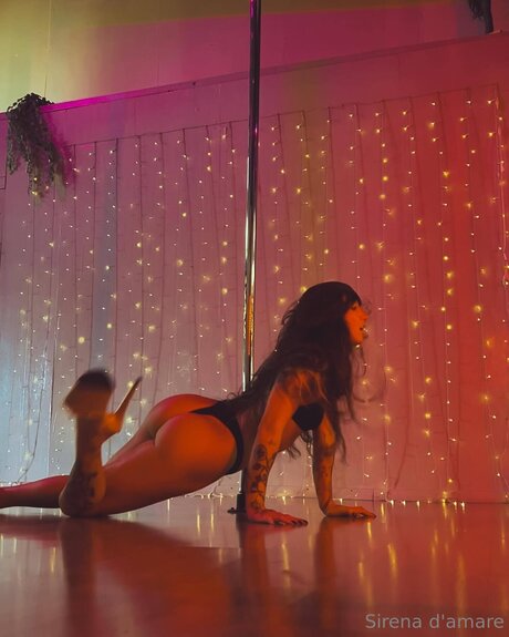 Sirenadamare perfect pornstar gallery