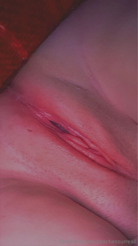 Peachessurreall model pornographic galleries