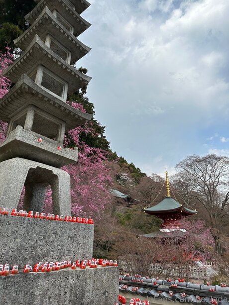 Noxlada star high quality images