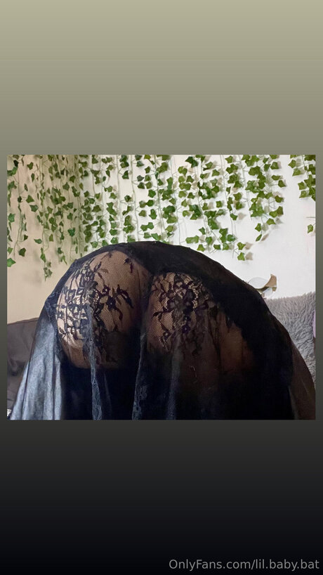Lil Baby Bat star pretty pictures