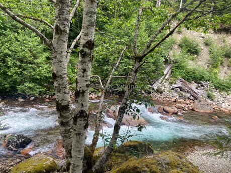 Exotic X Bunny model free photo