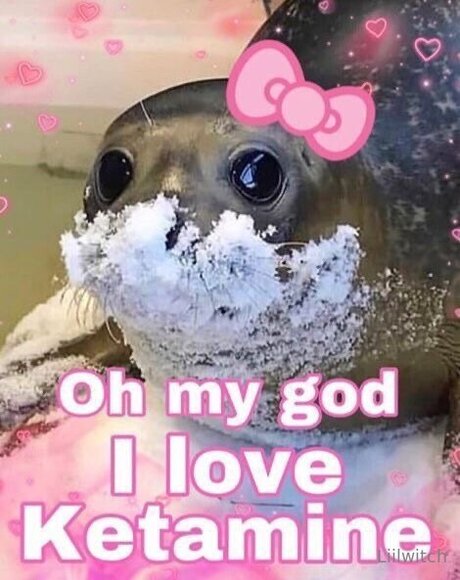 Liilwitch model sex picture