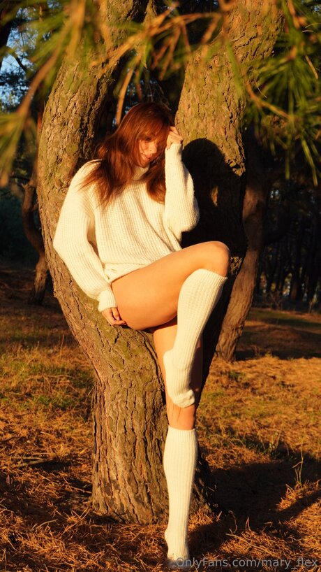 Mary Flex model pornographic pic