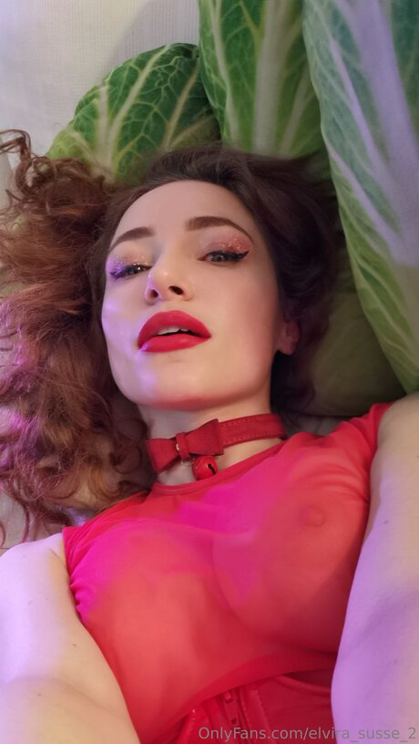 Elvira Susse 2 erotic pornstar images