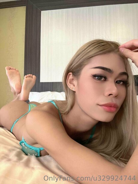 Starlitsylvia art star gallery