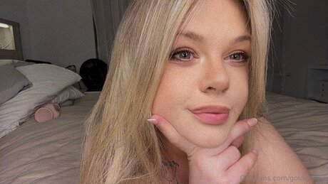 Goldensins model perfect galleries