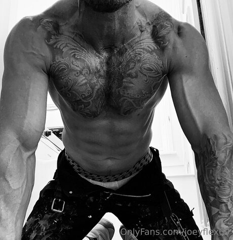 Joeyflex69 sex pornstar photos