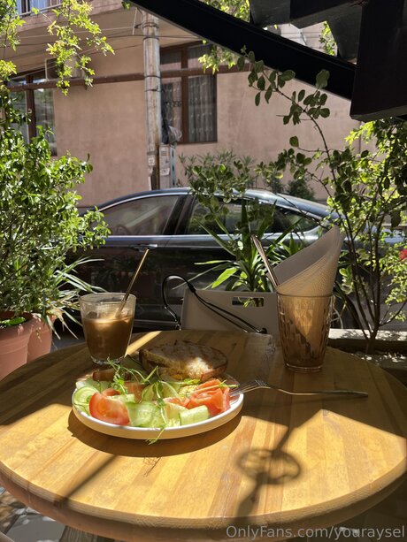 Youraysel high quality model picture