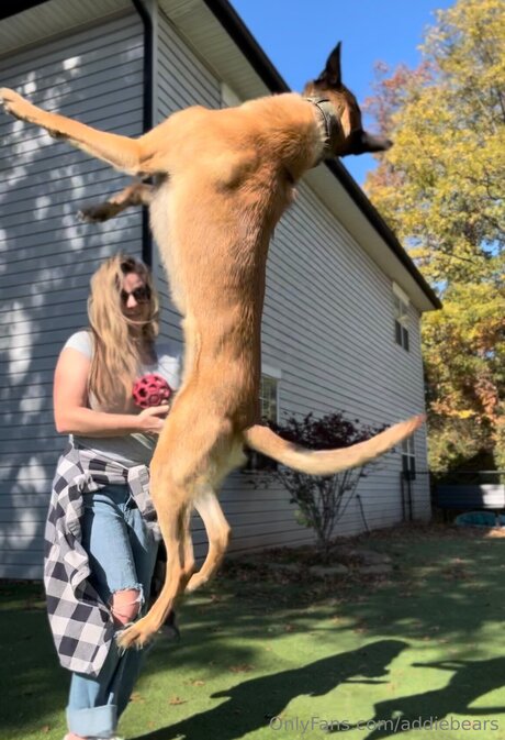 Addiebears pornstar sexy photo