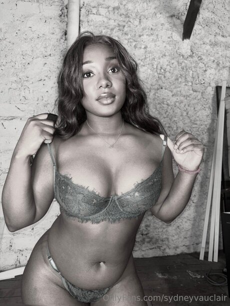 Sydneyvauclair pornstar hot image