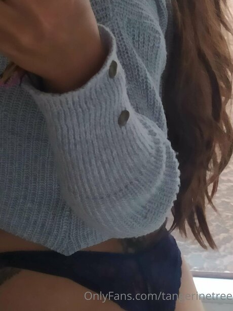 Tangerinetree xxx model image