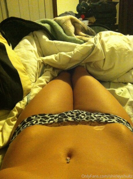 Shirleyshultz pornstar top image