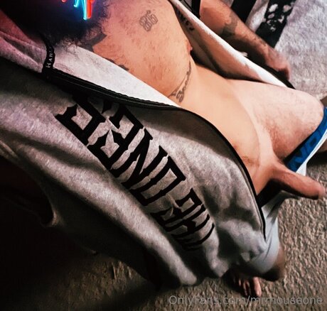 Mrmouseone pornstar nude image