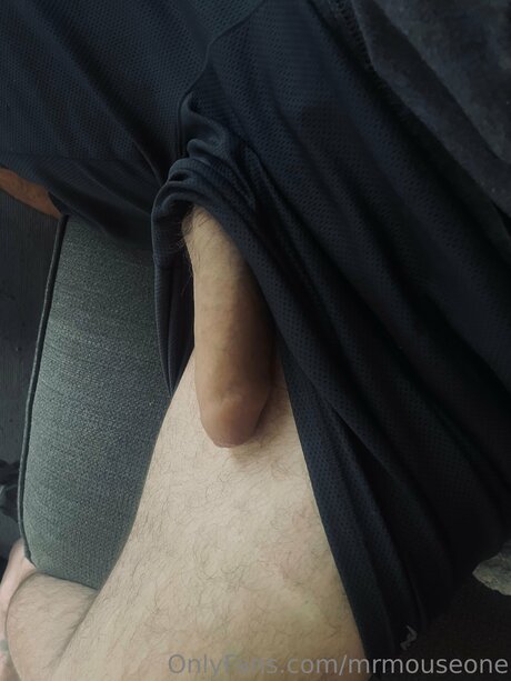Mrmouseone pornstar sexy pic