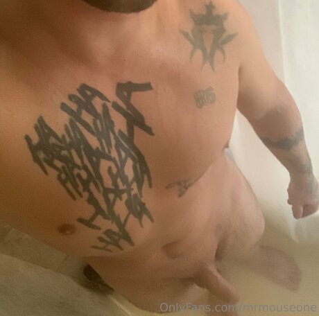 Mrmouseone pornstar erotic pictures