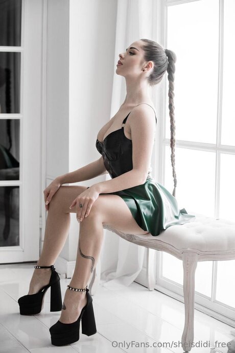 Sheisdidi Free adult model photo