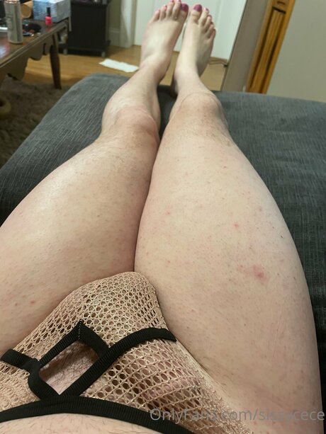 Sissycece hot pornstar galleries