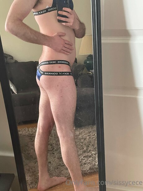 Sissycece pornstar sex pic