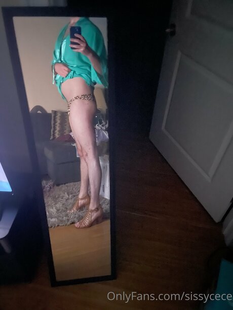 Sissycece star hd img