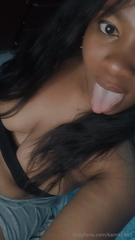 Kamii1445 model hd picture