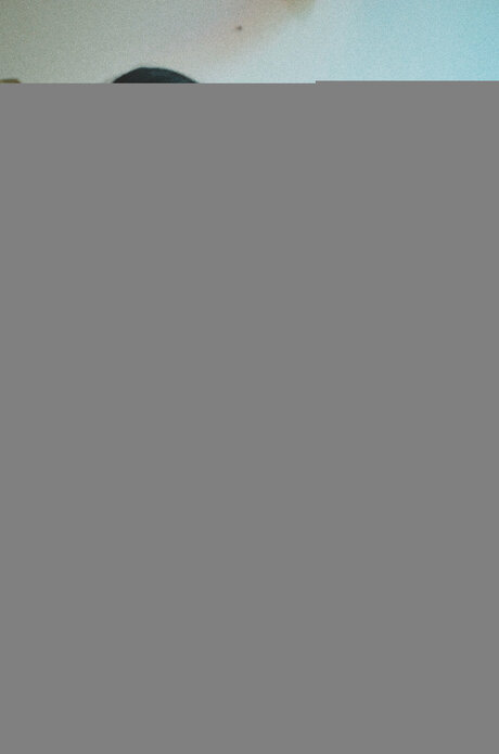 Babyitslolarose pornstar xxx images