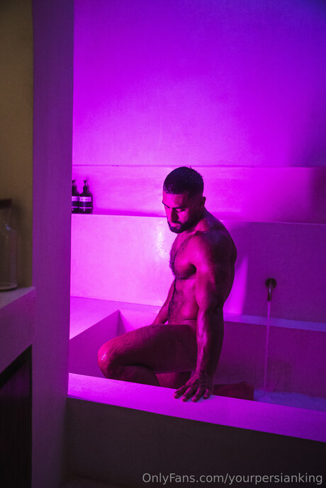 Yourpersianking star perfect picture