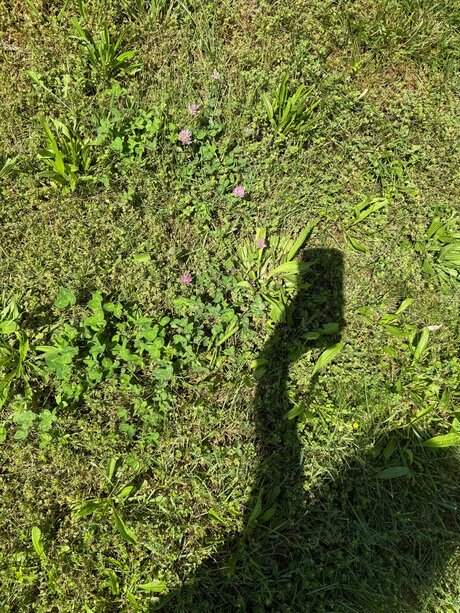 Amaraevermore xxx star image