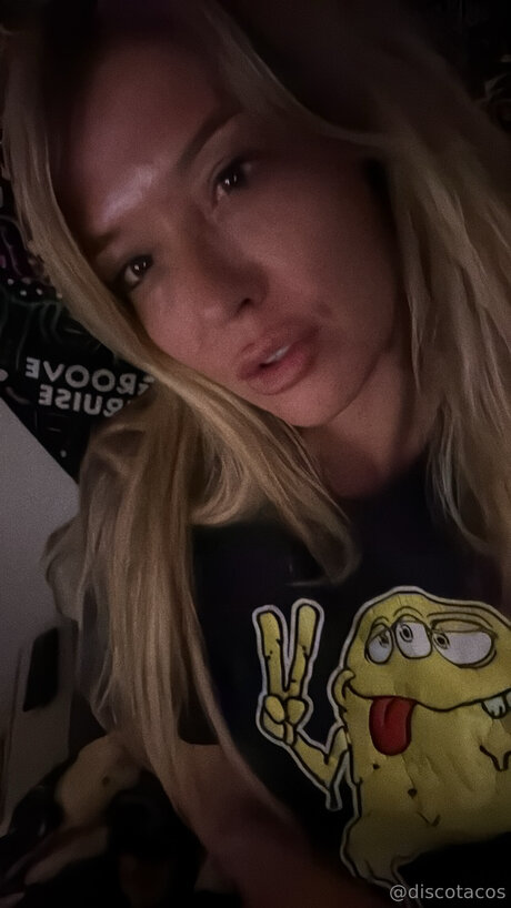 Discotacos model pictures