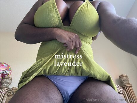 Findomdictator art star photo