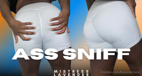 Findomdictator perfect actress archive