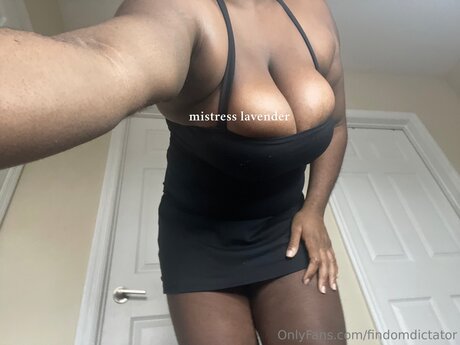 Findomdictator pornstar erotic galleries