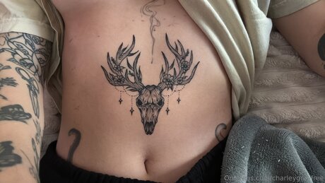 Charleygrayfree adult model photos