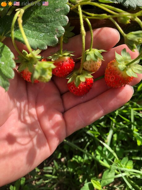 Rick676 top model galleries