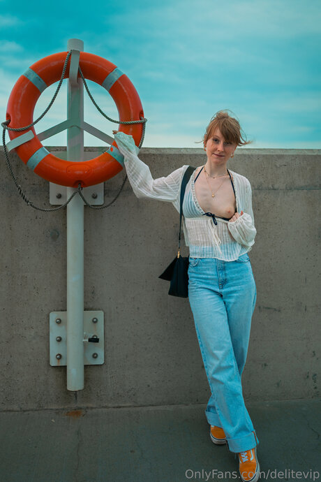 Delitevip hd model archive