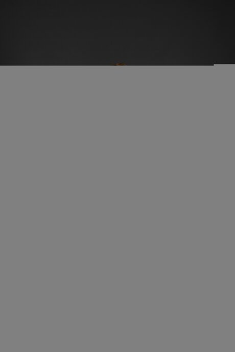 Funkymefree star sex photo