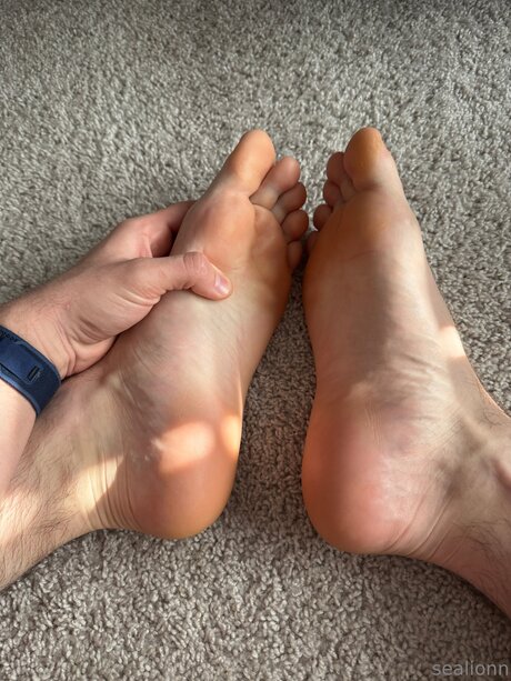 Emsealion exclusive pornstar gallery