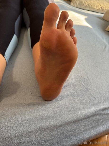 Bigfeetstudio high quality star gallery