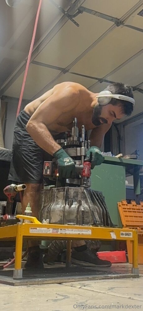 Dexterdexter erotic star photo