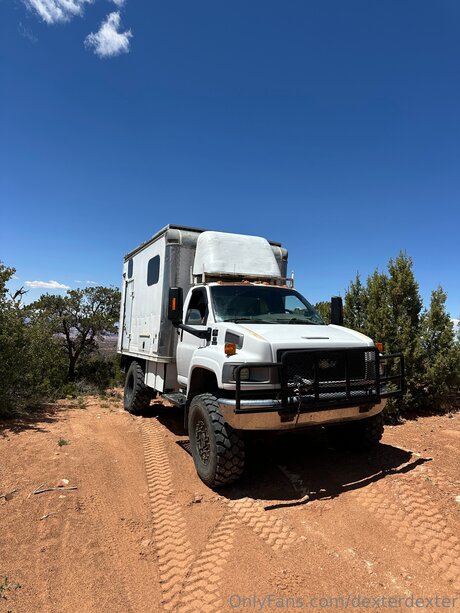 Dexterdexter model perfect images